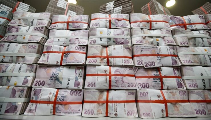 Merkez Bankası Rezervleri Ağustos’ta 176,3 Milyar Dolara Düştü